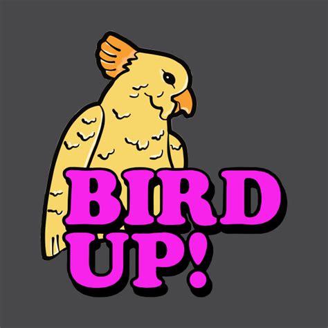 Bird Up Bird Up T Shirt Teepublic