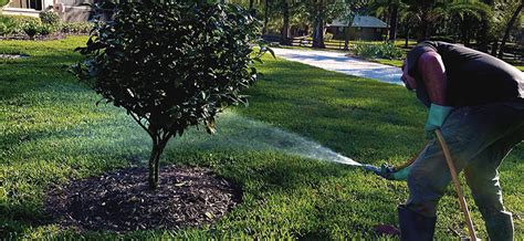 Learn more about do it yourself pest & lawn. Driggers Pest Control | DeLand, DeBary, Deltona and Orange City