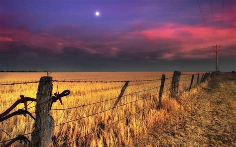 Fence Wires Nature Landscapes Fields Wheat Grass Pole Rustic Farm Sky