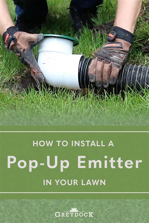 305 x 165 jpeg 13 кб. How to Install a Pop-Up Drain Emitter in Your Lawn in 2020 ...