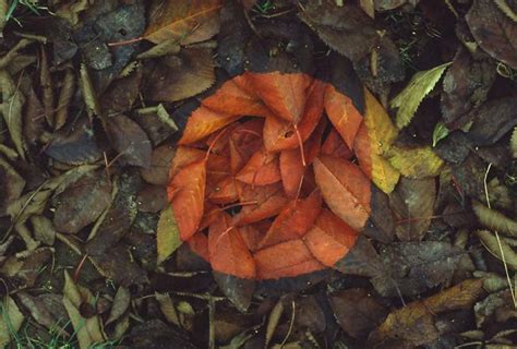 Andy Goldsworthys Beautiful Fall Leaves Moss And Fog