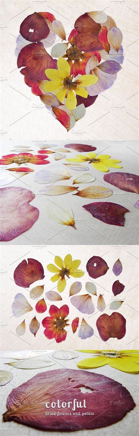 Colorful Dried Flowers And Petals Flowery Wallpaper Flower Designs
