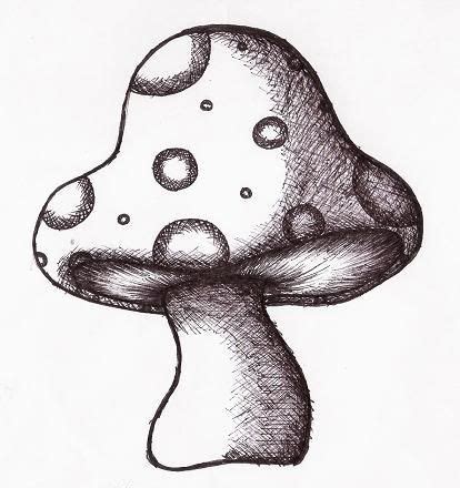 Fantastic Ideas Mushroom Drawings Perangkat Sekolah