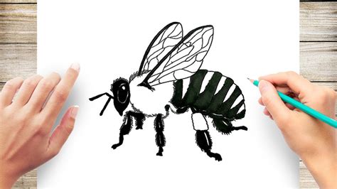 How To Draw A Realistic Bee Step By Step Youtube