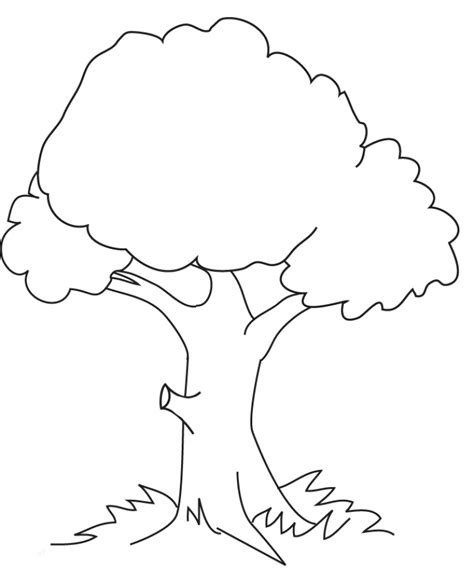 Get This Tree Coloring Pages Online Printable B6QSA