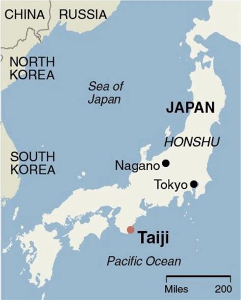 Where Is Taiji Japan The Tragedy In Taiji