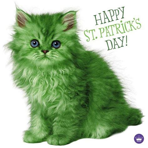 Happy St Patrick S Day Pictures Photos And Images For Facebook Tumblr Pinterest And Twitter