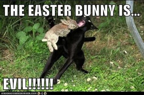 The Easter Bunny Isevil Pictures Photos And Images For