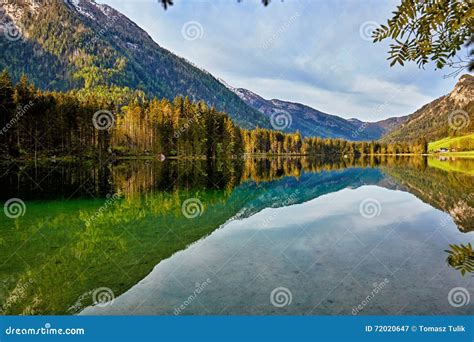 Turquoise Water And Scene Of Trees And Lake Stock Image Image Of