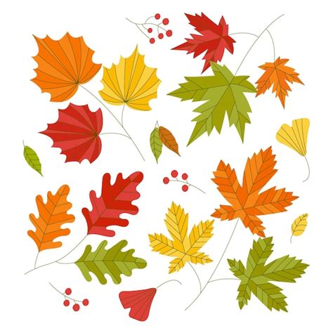 Free Vector Autumn Leaves Collection