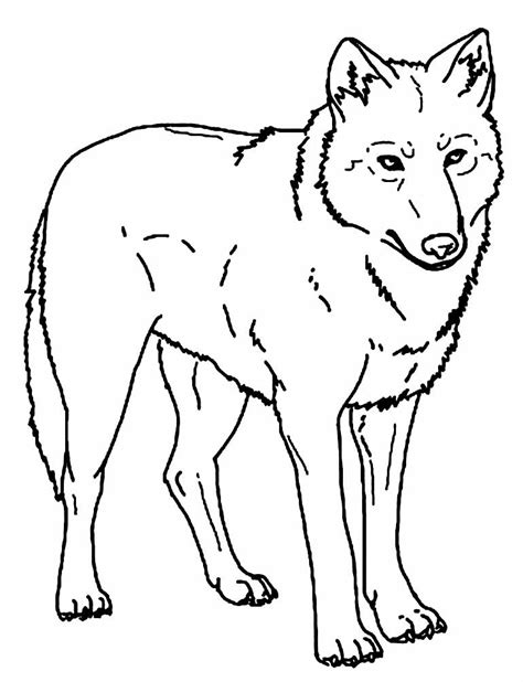 Aprender Sobre Imagem Desenhos De Lobo Para Colorir Br