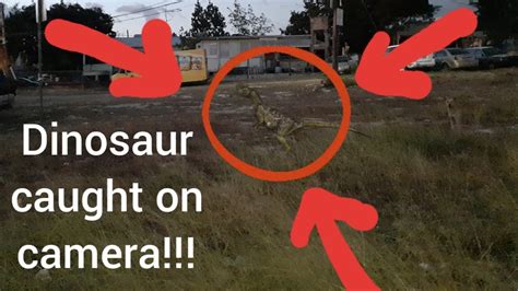 Dinosaur Caught On Camera In Totally Not Clickbait Cintron