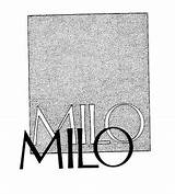Milo Beauty Barber Supply Company Pictures