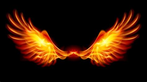 Here are only the best phoenix bird wallpapers. Phoenix Bird Wallpapers (80+ images)
