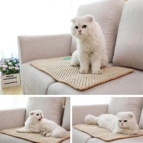 And look for a stain and, as far as possible, odor resistant carpet to give you maximum. Pet Cat Mat Scratching Pad Cats Plate Claws Wear-resistant ...