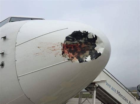 Emergency Egyptair 737 800 Suffered A Severe Bird Strike On Approach To
