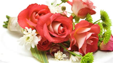 Rose Flowers Wallpaper 1920x1080 38173