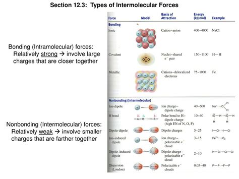 Ppt Chapter 12 Intermolecular Forces Powerpoint Presentation Free