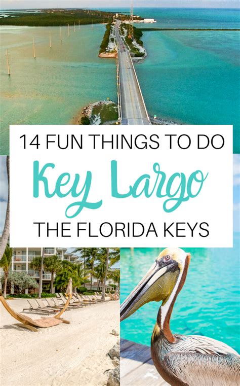 19 Fun Things To Do In Key Largo Artofit