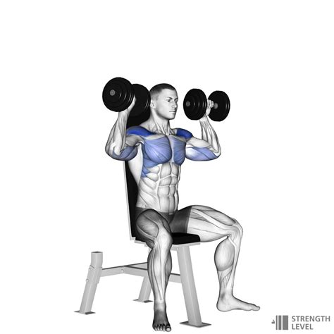 Seated Dumbbell Shoulder Press How To Strength Level