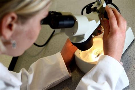 Kildare Nationalist — Revenues At Cervicalcheck Scandal Lab Increased By 40 After Issues Became