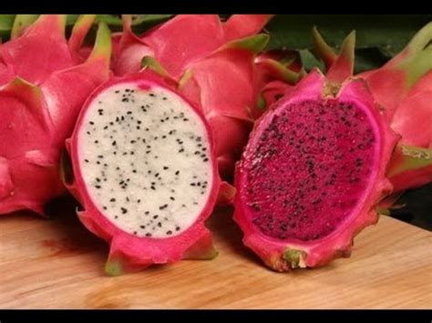 Dragon fruit is actually a type of cactus and is grown in south and central america, southeast asia, mexico, and israel. **How To Eat Dragon Fruit & Benefits**orJANics - YouTube