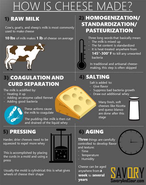 How Is Cheese Made Infographic Of The 6 Step Process