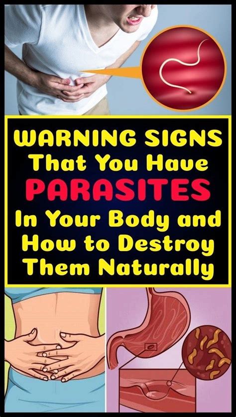 Warning Signs That You Have Parasites In Your Body And How To Destroy