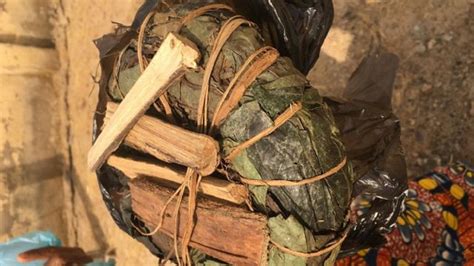 How We Killed Customer Shared Body Parts For Money Ritual — Herbalists