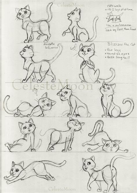 Cat Sketch Drawing Sketches Sketch Book Sketching Drawing Art