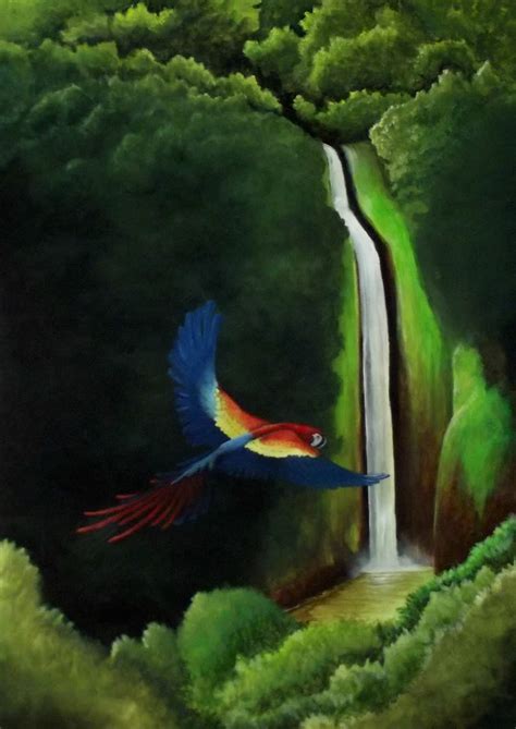 Jungle And Rainforest Art Of Costa Rica The Macaw And The Waterfall