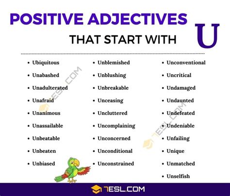128 Positive Adjectives That Start With U U Words To Describe Someone