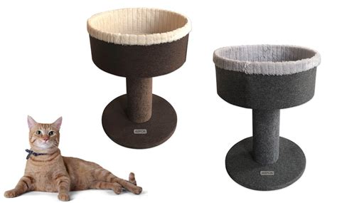 Aspca Modern Cat Pedestal Bed Groupon