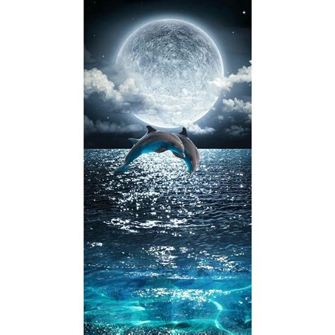Dolphin Moon 8040cm