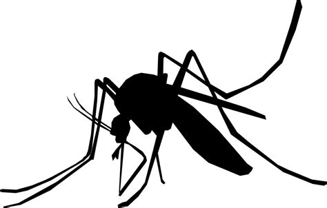 Mosquito Schnake Sting Mosquito Png Black And White Clip Art Library
