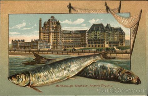 The traymore hotel was located at the corner of illinois avenue and the boardwalk. Marlborough-Blenheim Hotel Atlantic City, NJ Postcard