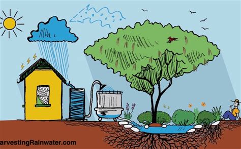 Fundamentals Of Rainwater Harvesting Deceleration
