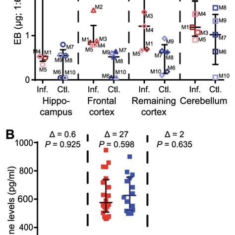 Chronic Peripheral Taenia Crassiceps Infection Disrupts The Blood Brain