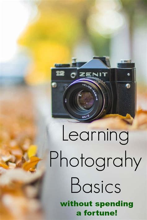 Learning Photography Basics Without Spending A Fortune Suburbia Unwrapped