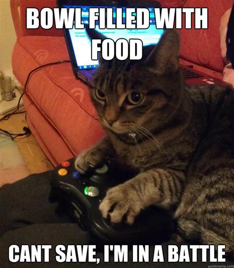Concentration Gamer Cat Memes Quickmeme