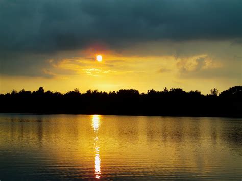 Silhouette Of Trees Near Body Of Water Painting Sunset Horizon Lake