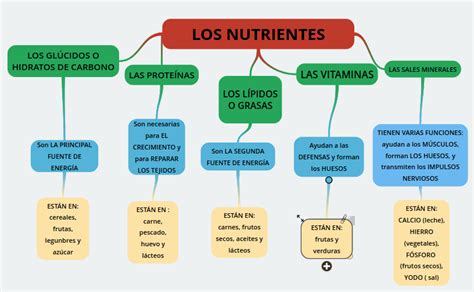 Tipos De Nutrientes Recetasparagrupos Mapa Conseptual Mapa Images