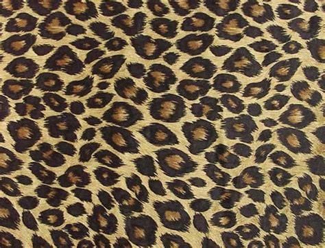 Cheetah Background Images Wallpaper Cave