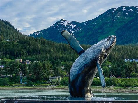 Best Things To Do In Juneau Alaska Handpicked Alaska
