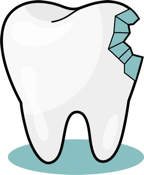 From Small Tender Baby Teeth To The Wisdom Teeth Causing Clipart