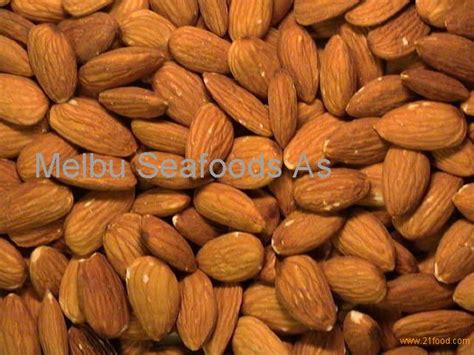 Dried Raw Bitter Apricot Grade A Bitter Almond Kernel Hot Selling