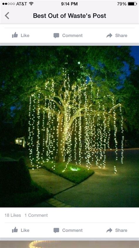 Fiber optic christmas decorations indoor pinterest ideas for elf. Pin by Suzanne Brusseau on For the Home | Outdoor ...