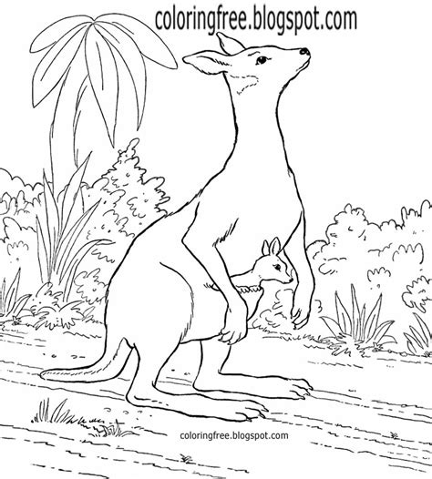 Australian Animals Coloring Pages Printable