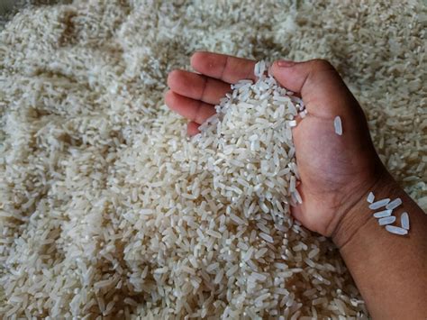 Premium Photo Its Rice And Small Hands