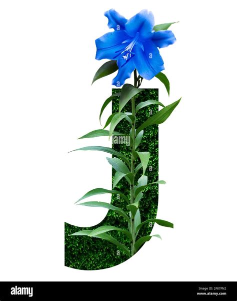 Logo J Letter Floral Banque De Photographies Et D’images à Haute Résolution Alamy